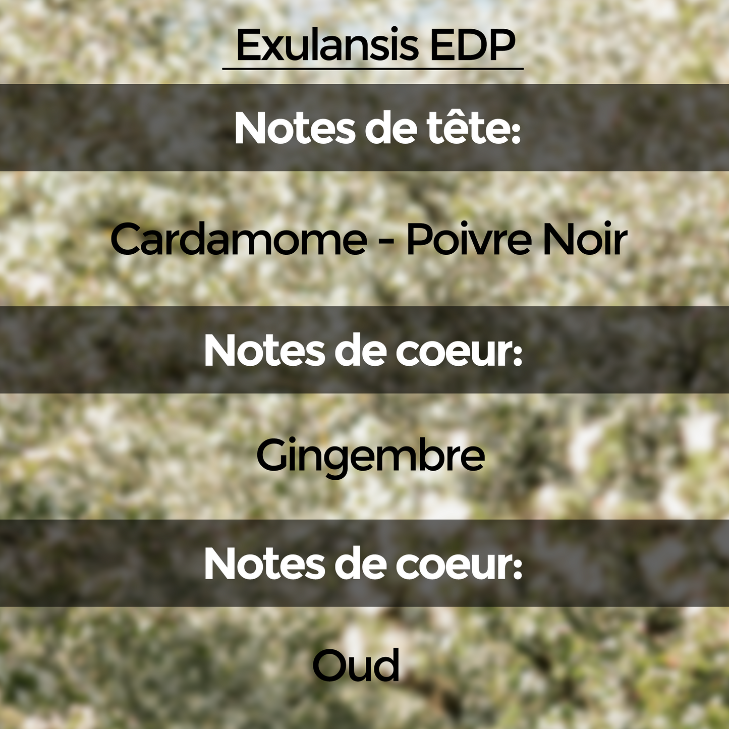 Discovery Set (10 échantillons de 5 ml) : Collection "Unnamed Emotions"