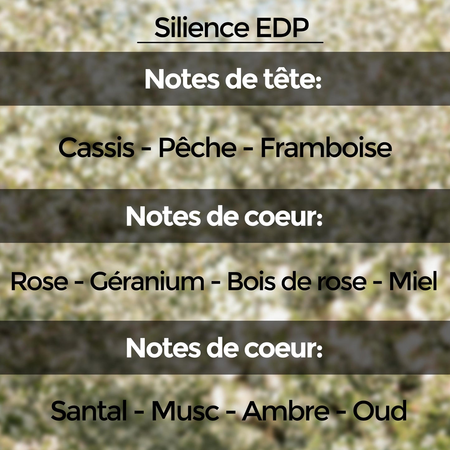 Discovery Set (10 échantillons de 5 ml) : Collection "Unnamed Emotions"