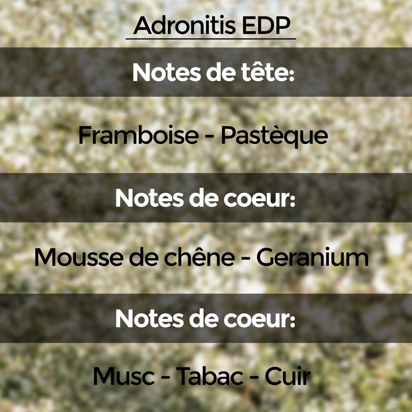 Discovery Set (10 échantillons de 5 ml) : Collection "Unnamed Emotions"
