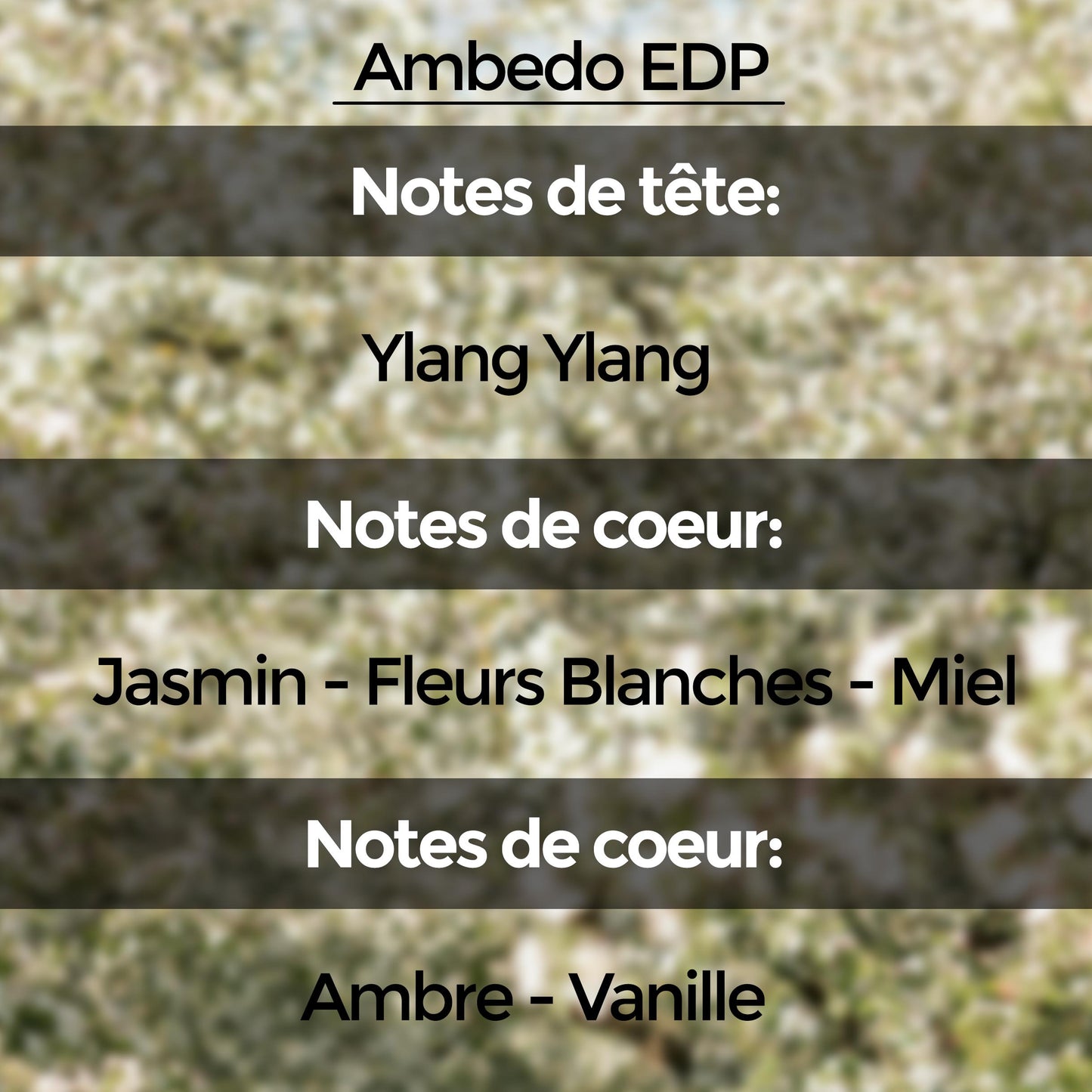 Discovery Set (10 échantillons de 5 ml) : Collection "Unnamed Emotions"