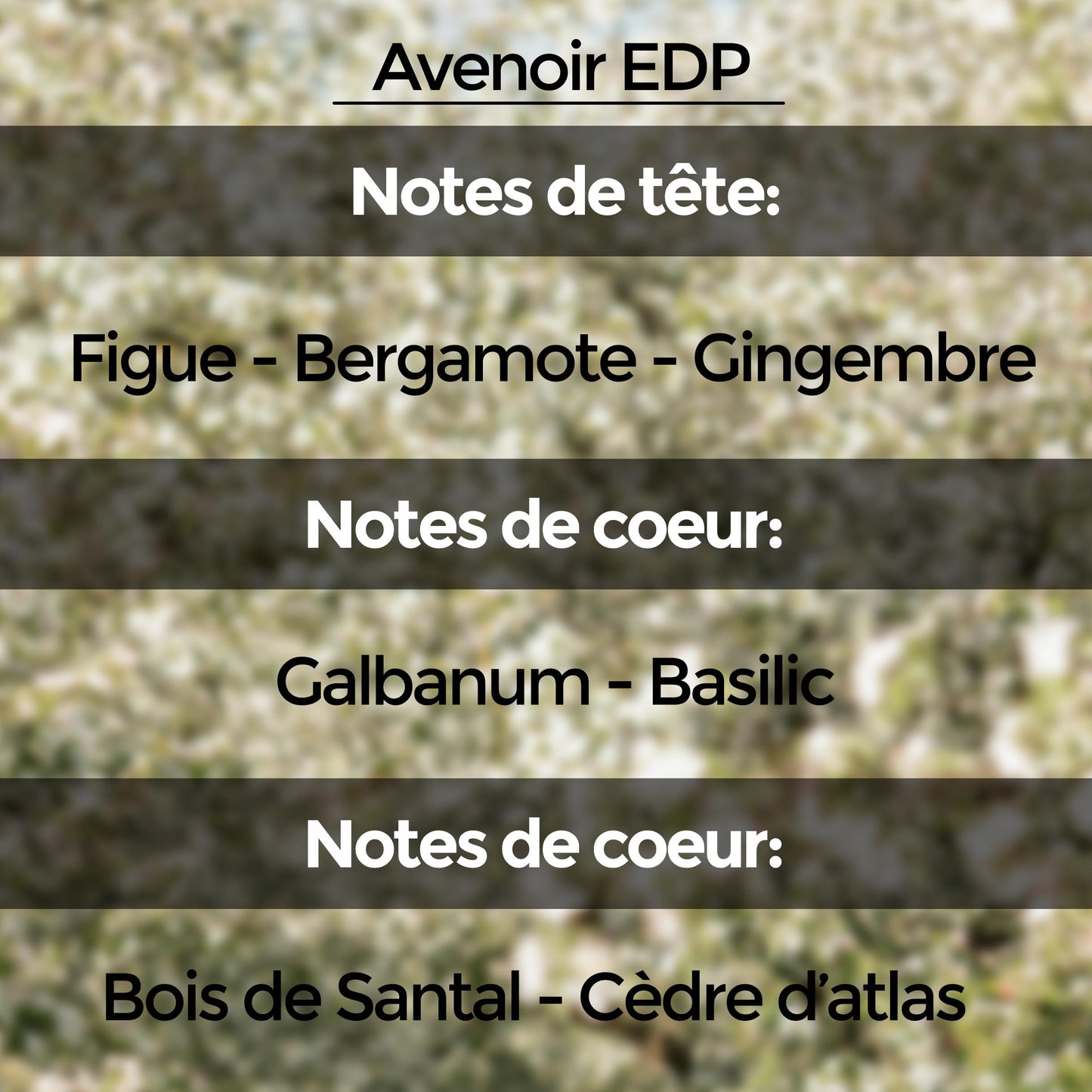 Discovery Set (10 échantillons de 5 ml) : Collection "Unnamed Emotions"