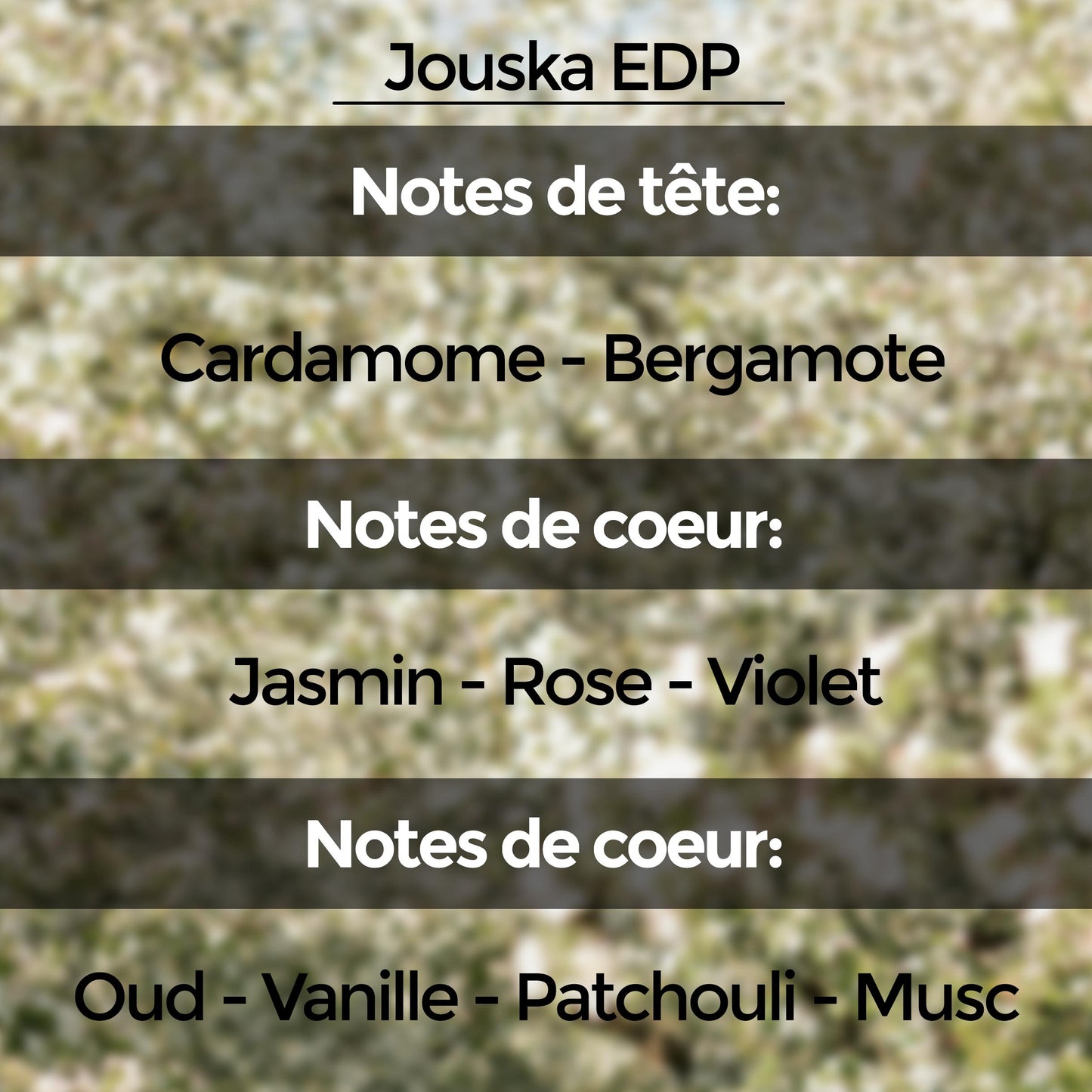 Discovery Set (10 échantillons de 5 ml) : Collection "Unnamed Emotions"