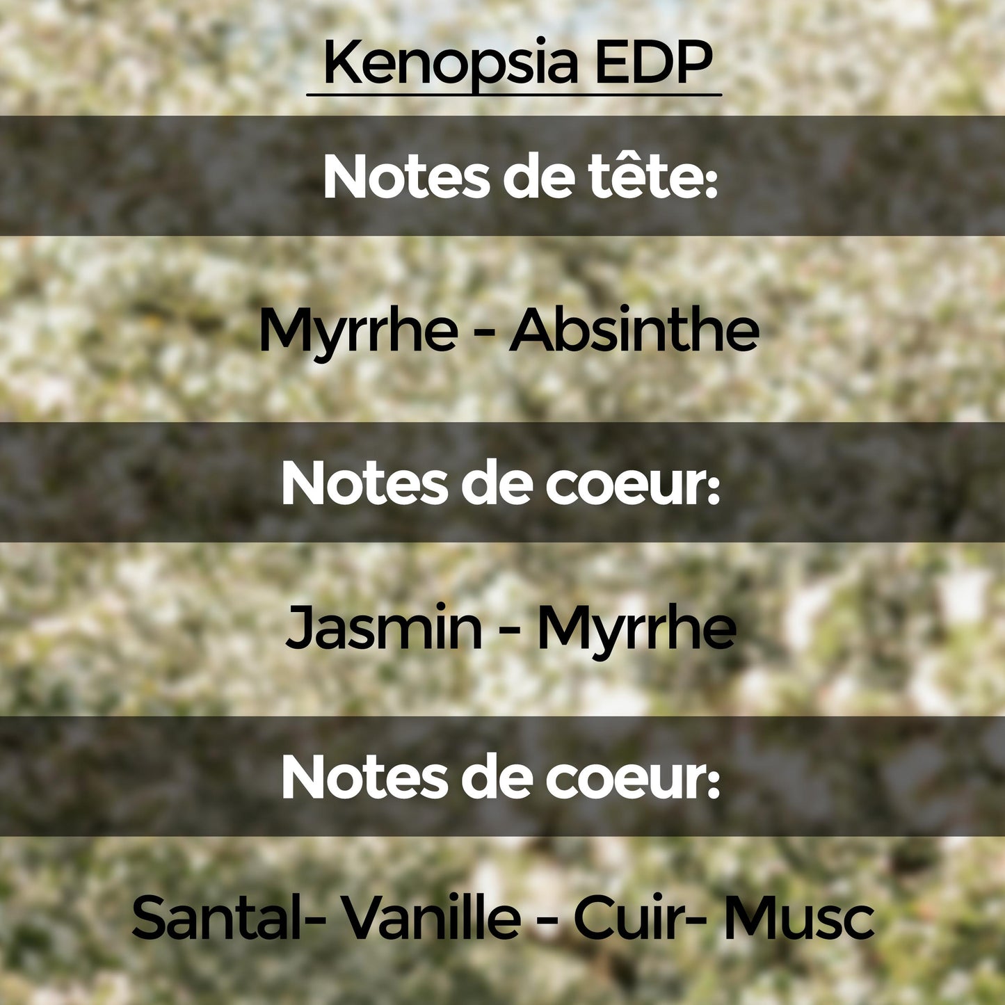 Discovery Set (10 échantillons de 5 ml) : Collection "Unnamed Emotions"