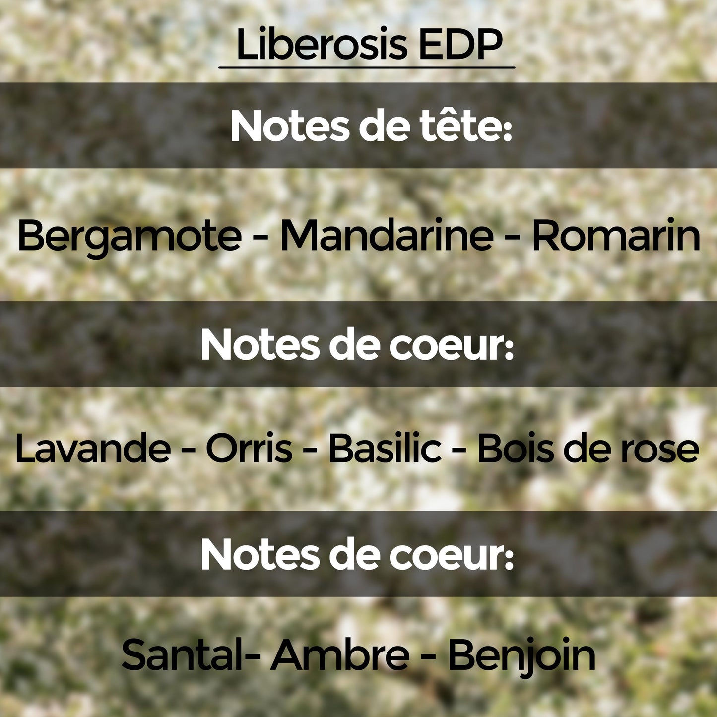 Discovery Set (10 échantillons de 5 ml) : Collection "Unnamed Emotions"