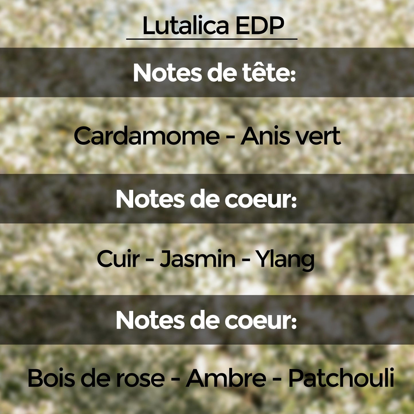 Discovery Set (10 échantillons de 5 ml) : Collection "Unnamed Emotions"
