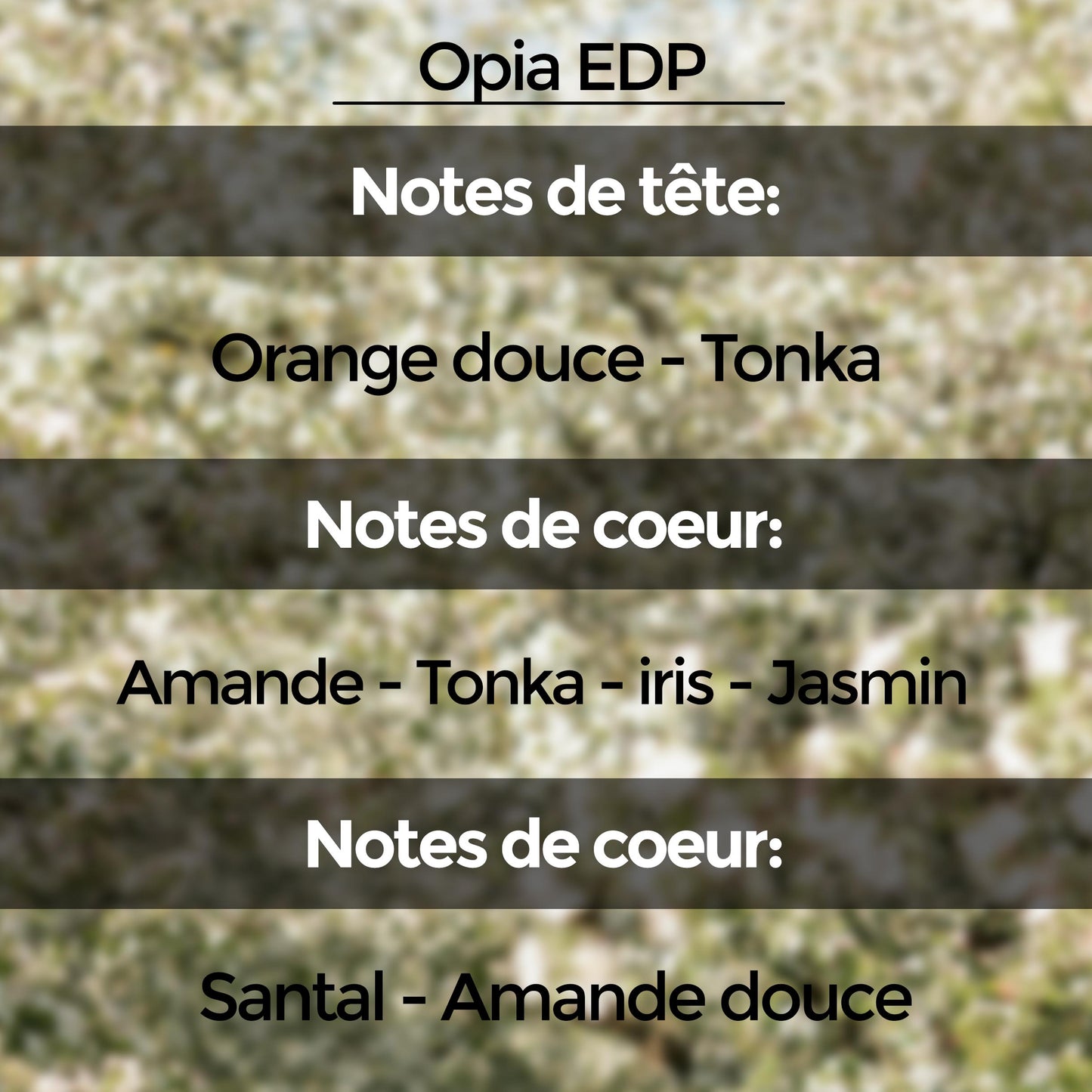 Discovery Set (10 échantillons de 5 ml) : Collection "Unnamed Emotions"